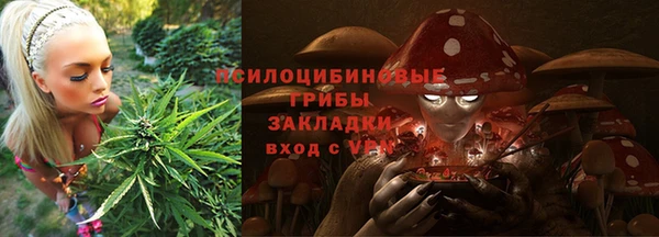 mdma Горнозаводск