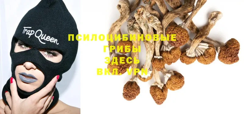 Псилоцибиновые грибы GOLDEN TEACHER  MEGA вход  Арск 